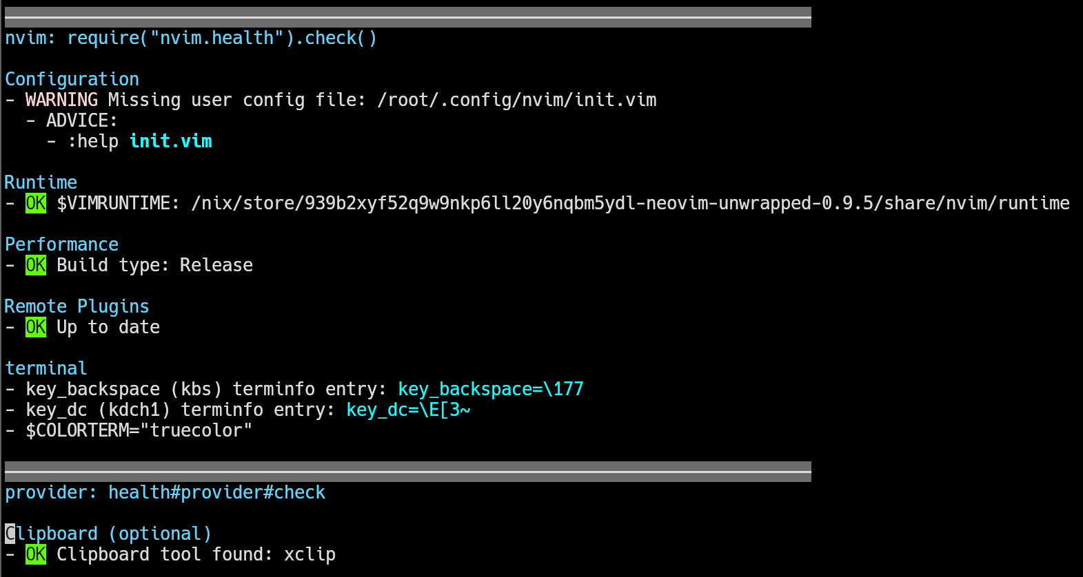 Problem with the NeoVim clipboard - Help - NixOS Discourse