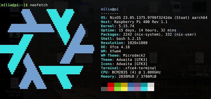 NixOS-after-23.05-build-Screenshot_2023-06-30_08-39-31