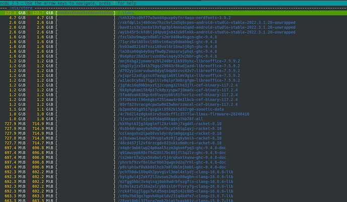 Nix store duplicates