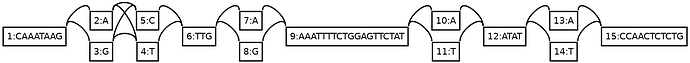 variation graph image