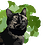 Nimrodium