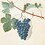 sourgrapes