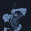 vanishingideal